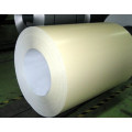 Galvanized Iron Bundle, Galvanized Roll